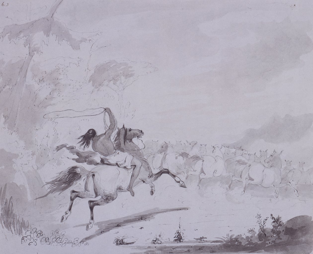 Lancer le lasso, c.1837 (plume et encre avec lavis gris sur carton gris) - Alfred Jacob Miller