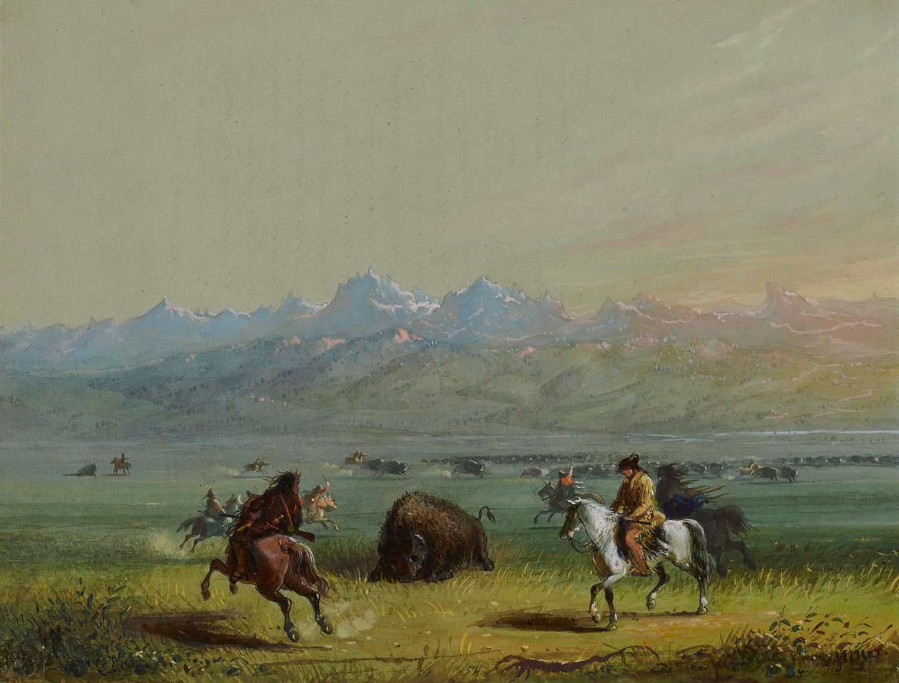 Un bison blessé - Alfred Jacob Miller