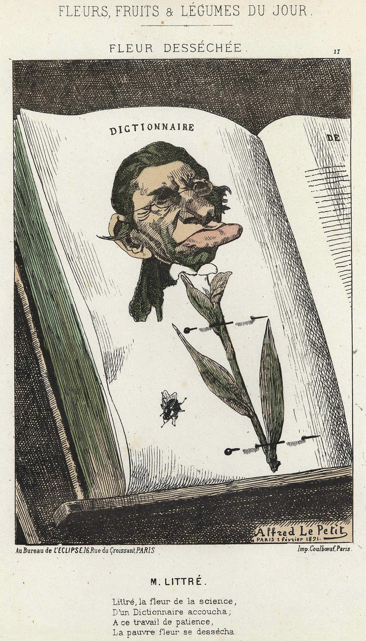Fleur desséchée: Caricature de Littré - ill. du 01/02/1871 dans "Fleurs, Fruits et Légumes du Jour" - Alfred Le Petit