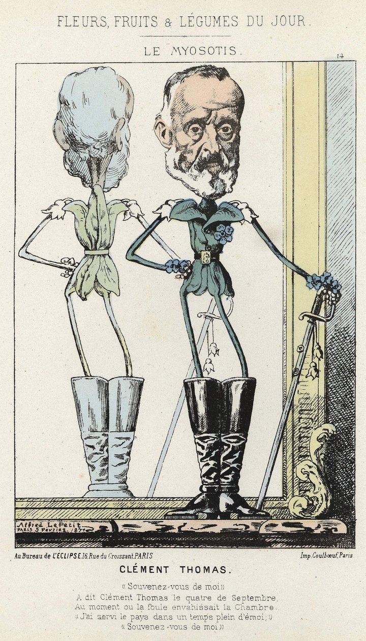 Le Myosotis: Caricature de Clément Thomas - ill. du 03/02/1871 dans "Fleurs, Fruits et Légumes du Jour" - Alfred Le Petit