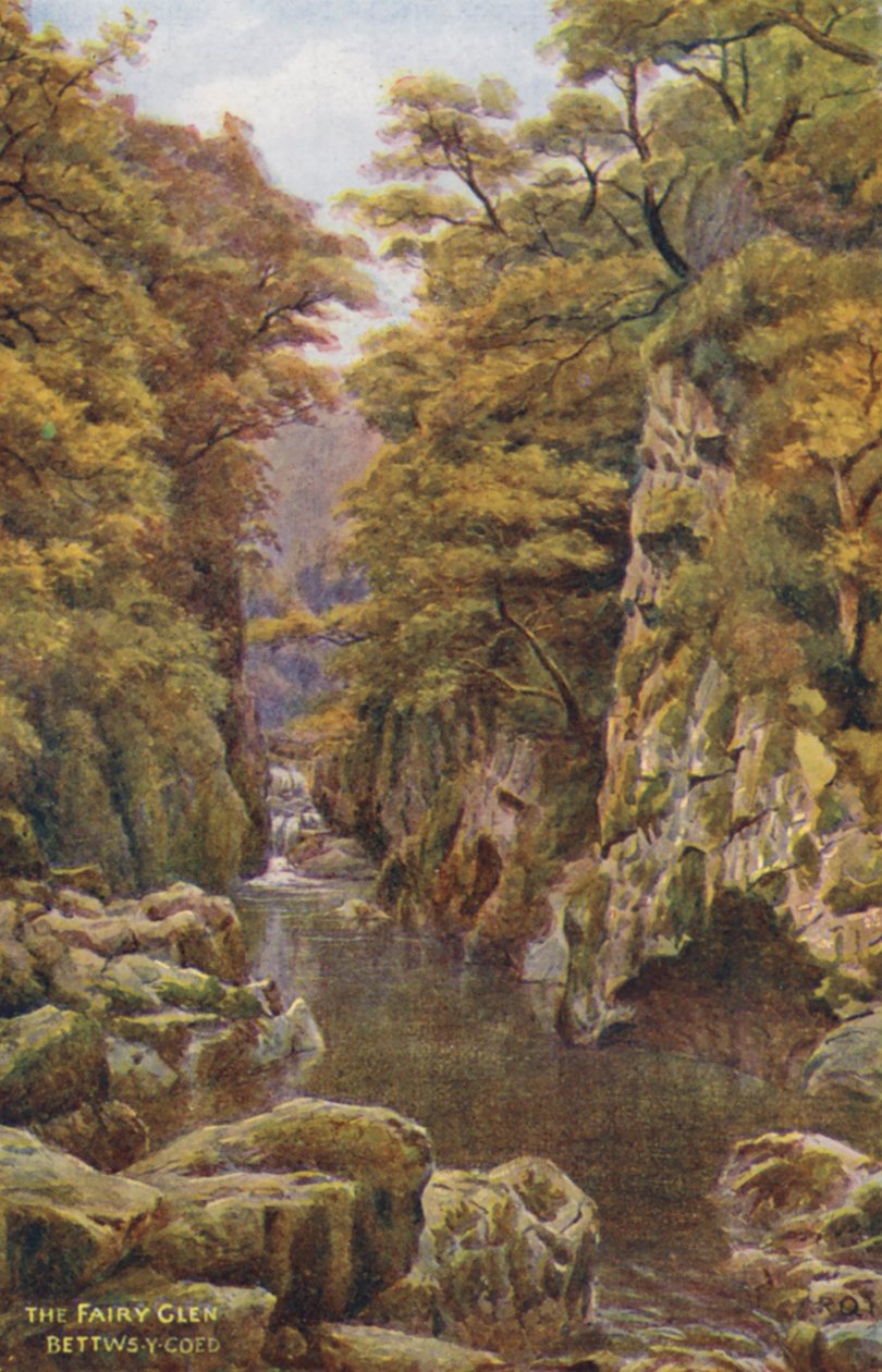 The Fairy Glen, Bettws-Y-Coed (lithographie couleur) - Alfred Robert Quinton