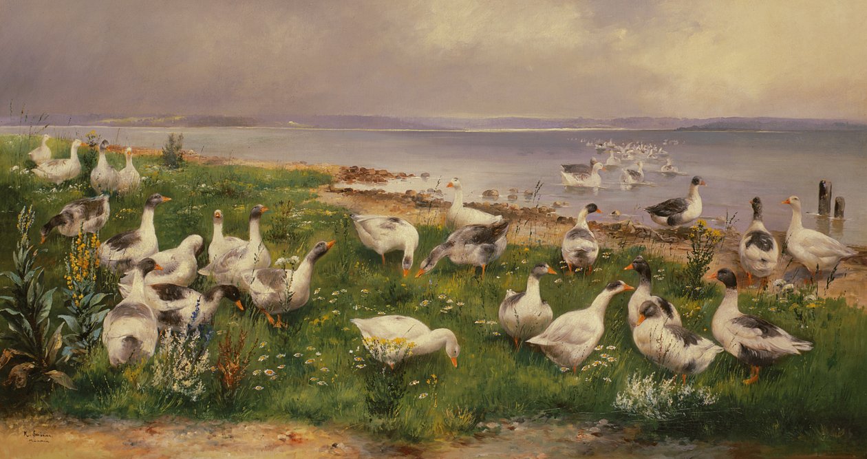 Oies - Alfred Schonian
