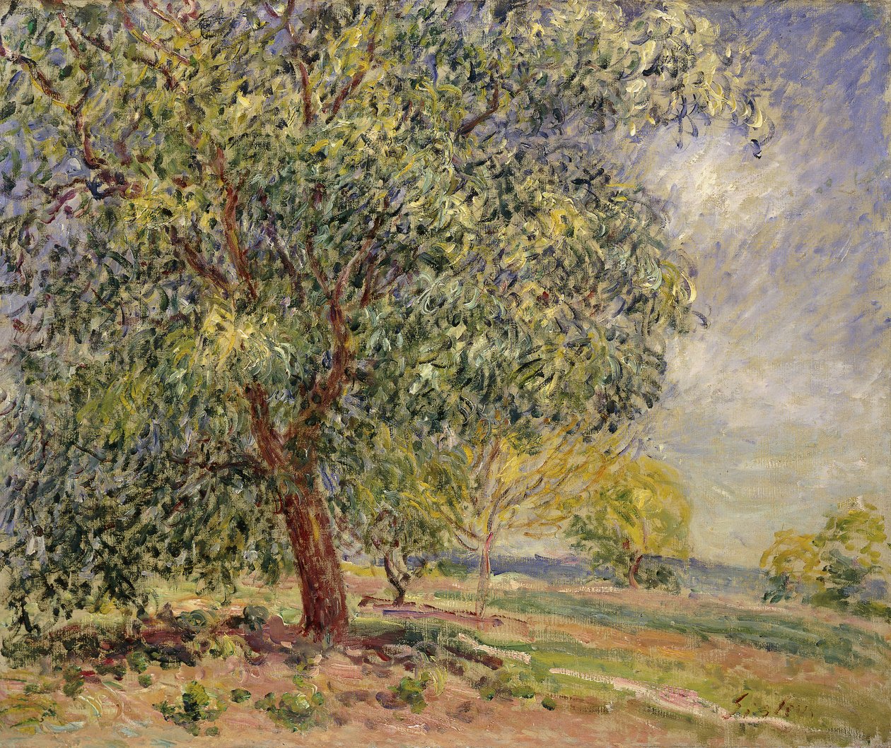Noyer aux Sablons, printemps, 1885 - Alfred Sisley