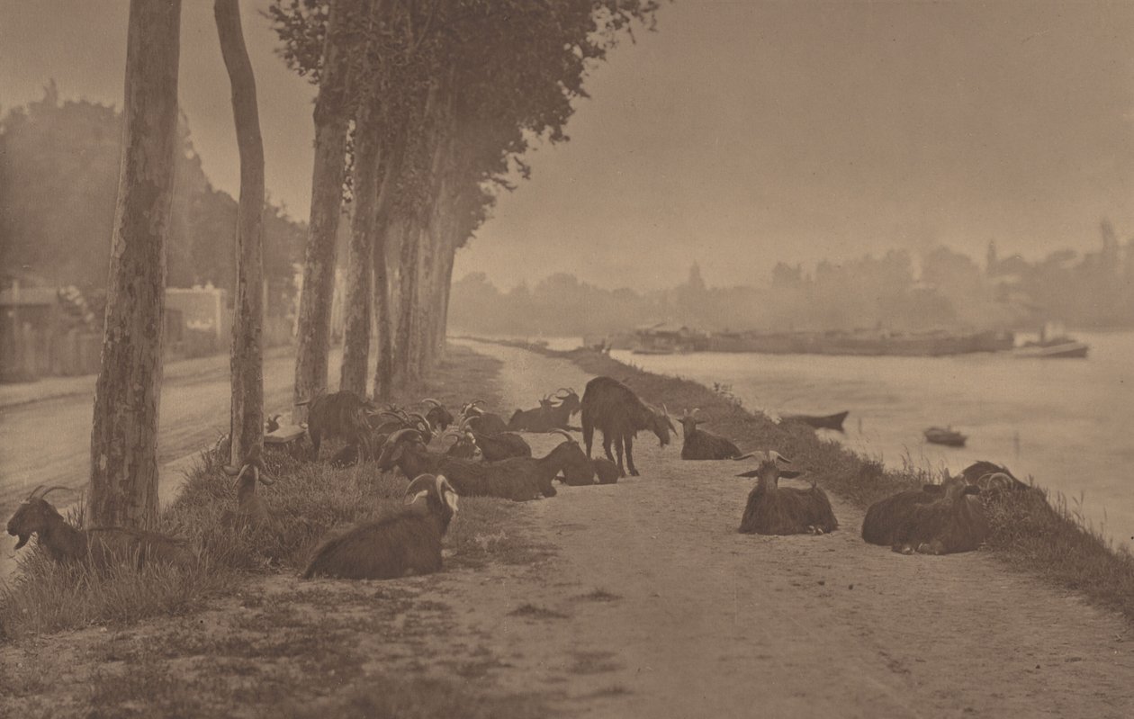 Un panneau décoratif - Alfred Stieglitz