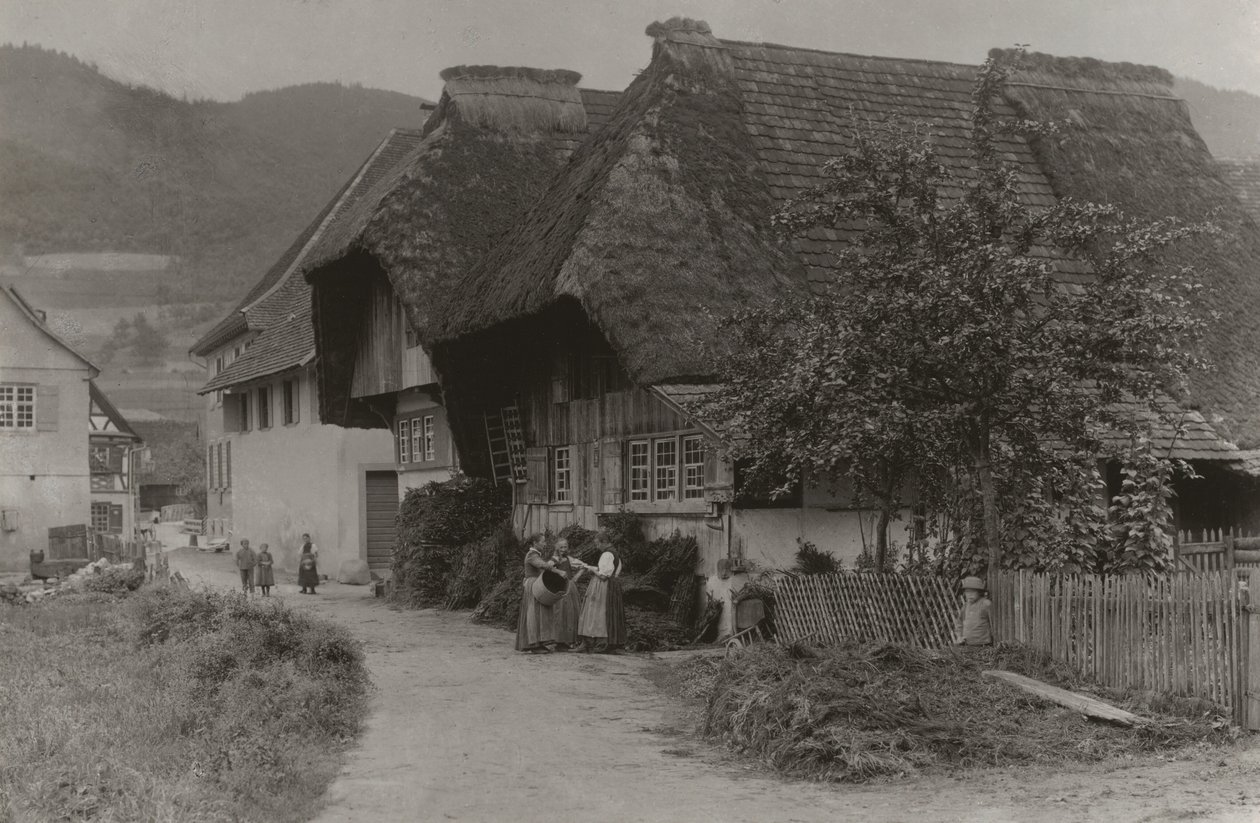 Une réunion à Gutach - Alfred Stieglitz