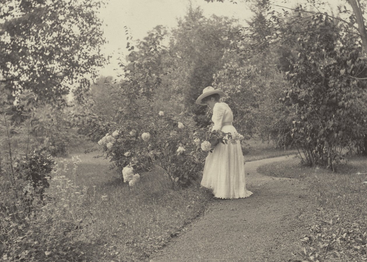 À Oaklawn - Alfred Stieglitz