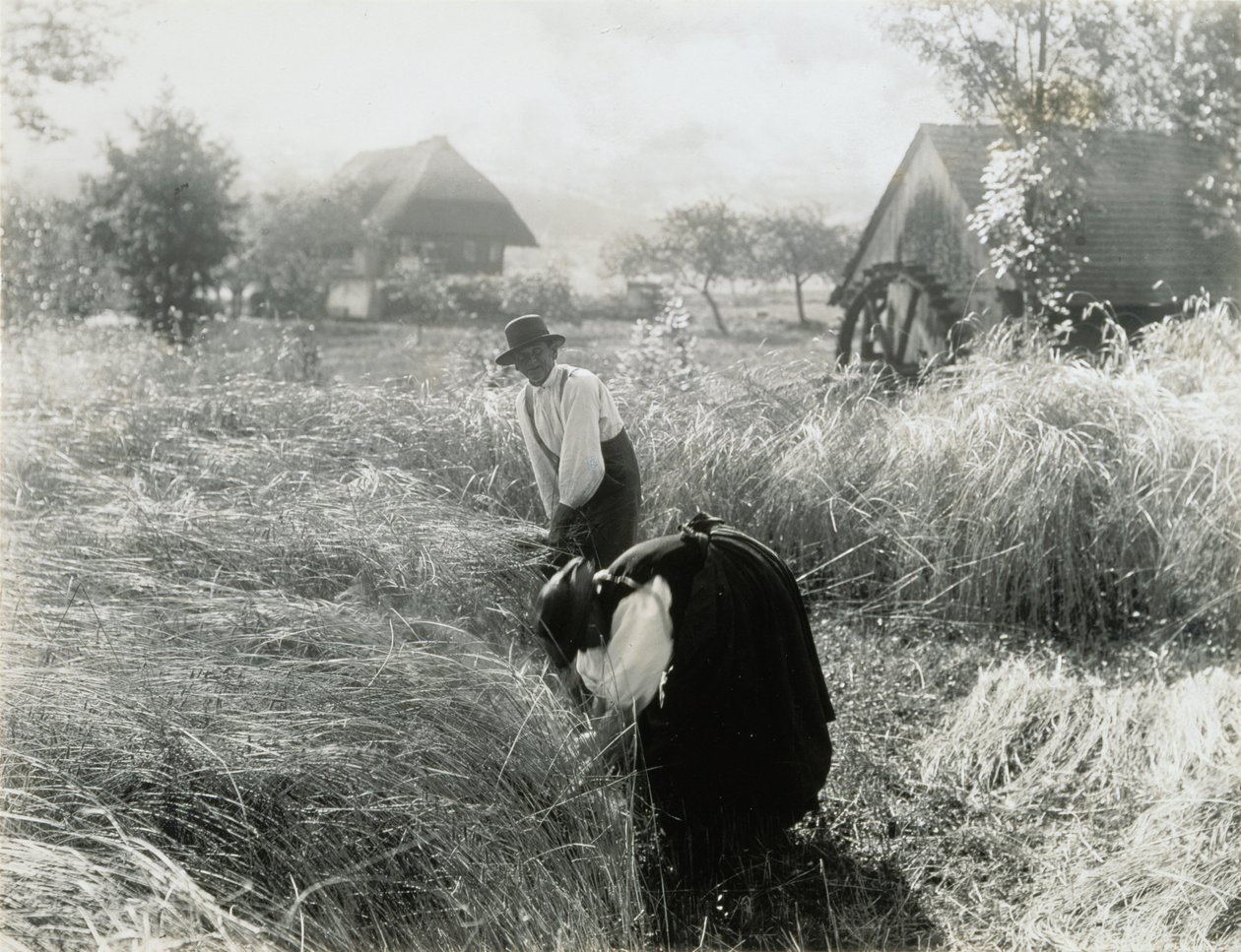 Au petit matin - Alfred Stieglitz