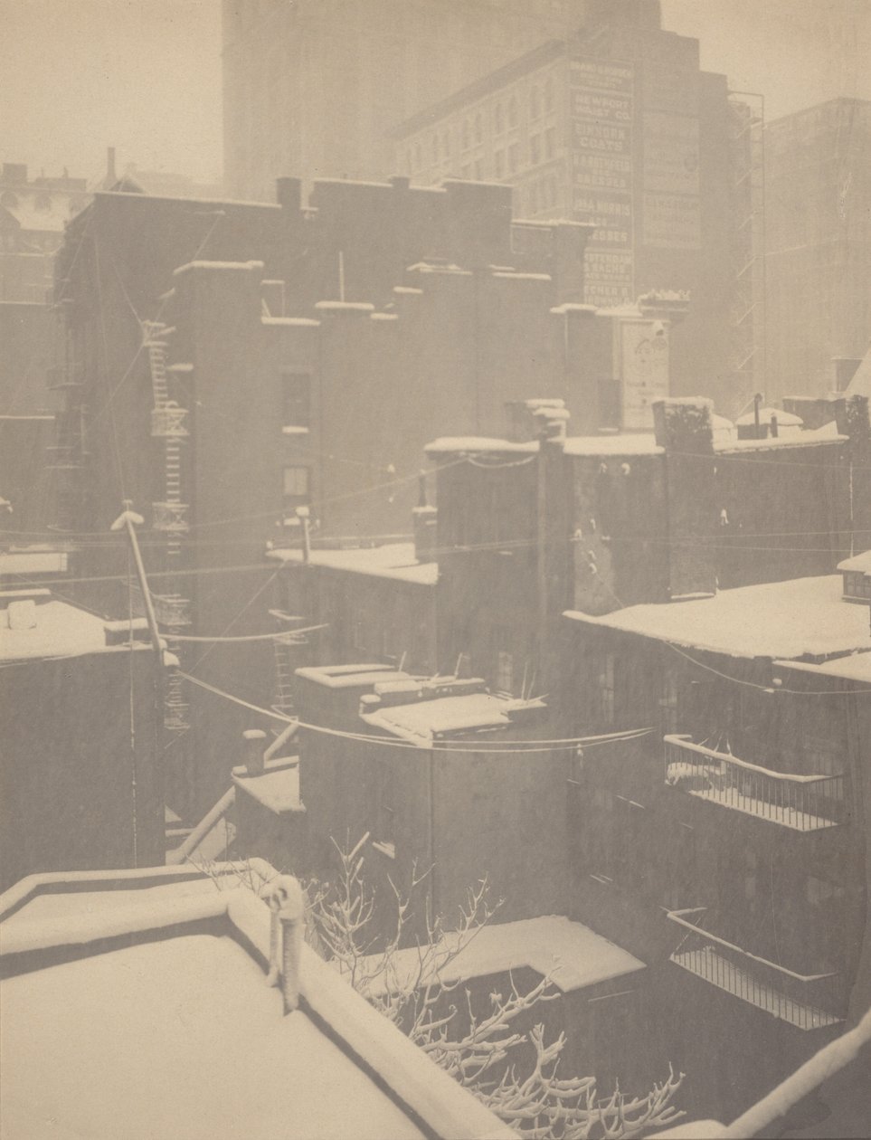 Depuis la fenêtre arrière - 291 - Alfred Stieglitz