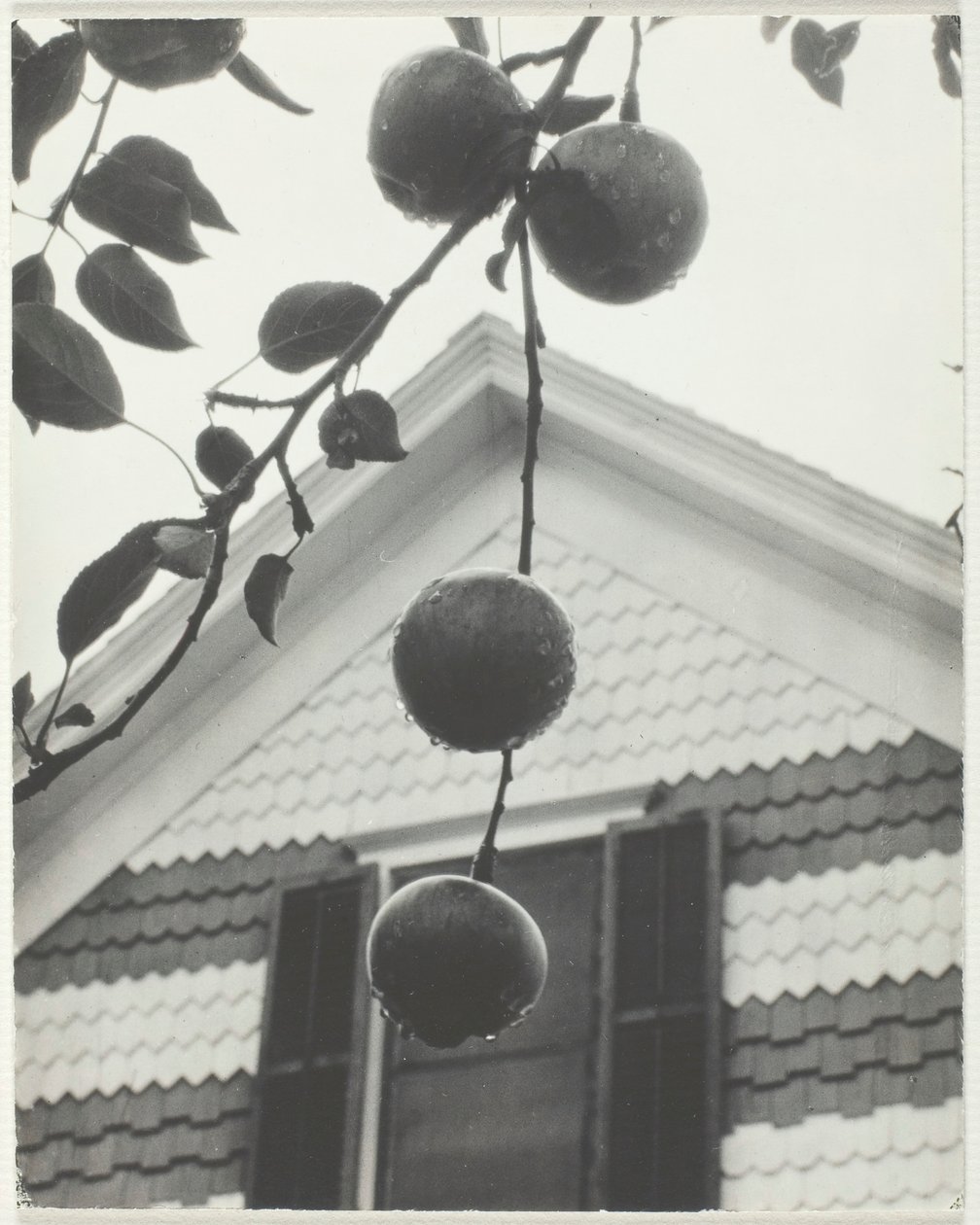 Pignon et pommes - Alfred Stieglitz