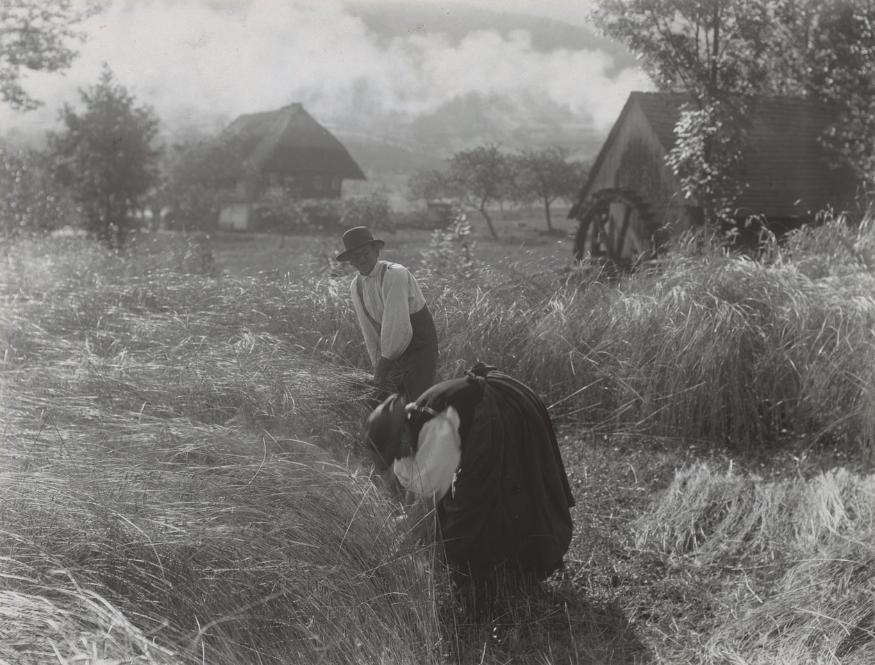 Récolte, Forêt-Noire - Alfred Stieglitz