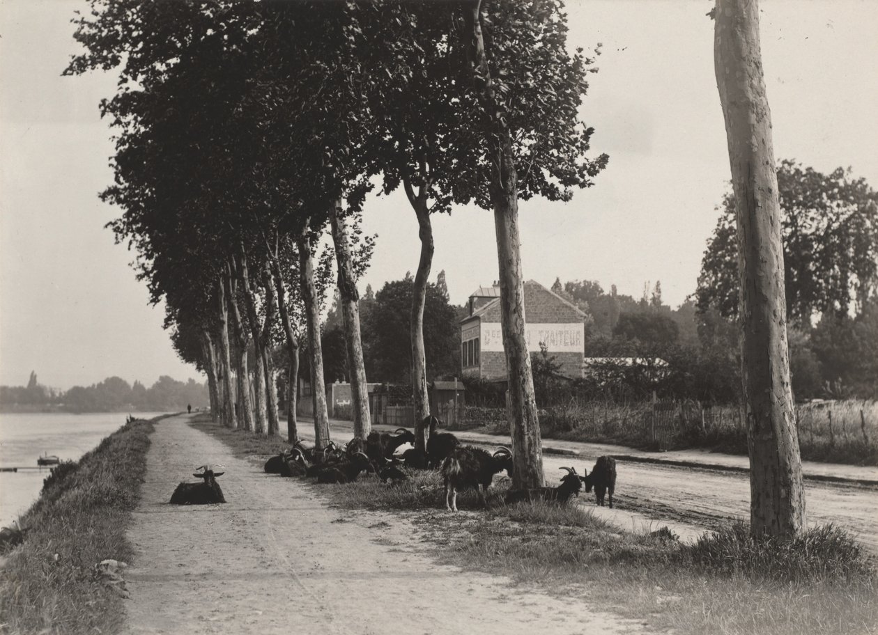 Retour à la maison - Alfred Stieglitz