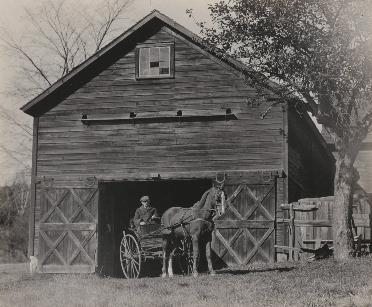 Cheval et voiture - Alfred Stieglitz