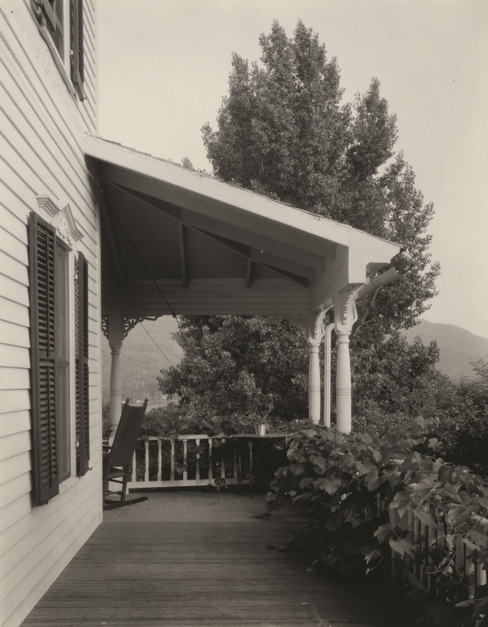 Maison, feuilles et arbre - Alfred Stieglitz