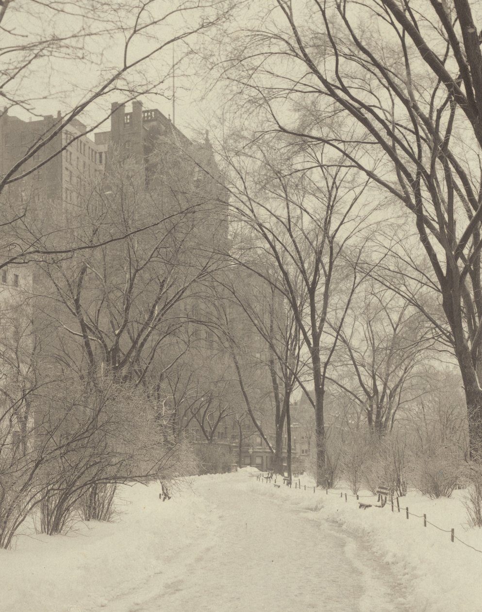 Au parc - Alfred Stieglitz