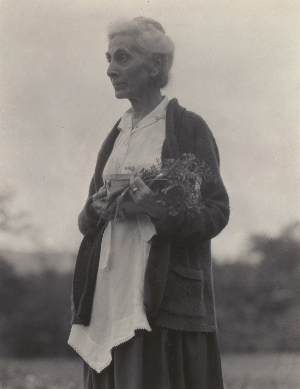 Katherine Herzig - Alfred Stieglitz