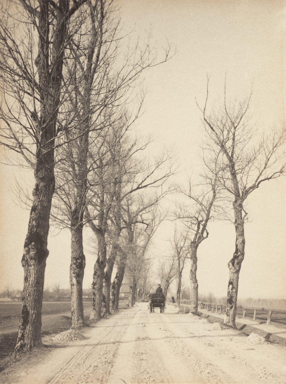 Jours de novembre - Alfred Stieglitz