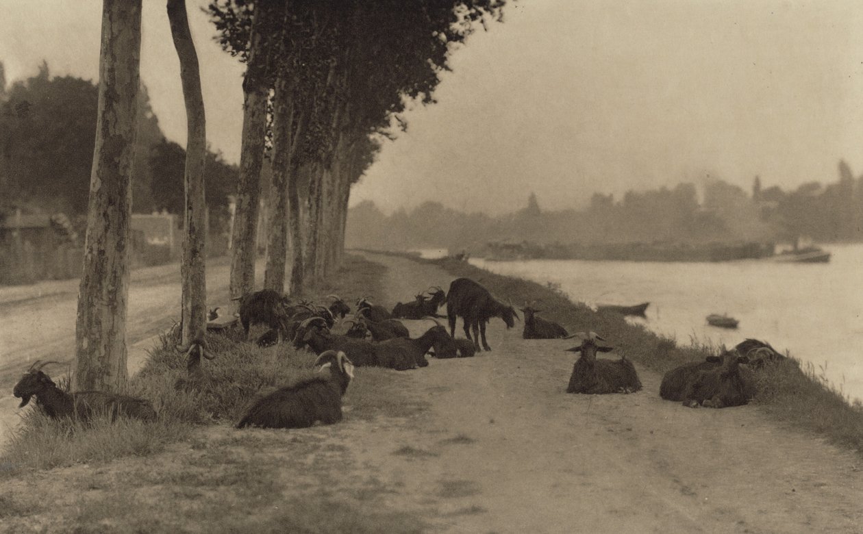 Sur la Seine — Près de Paris - Alfred Stieglitz