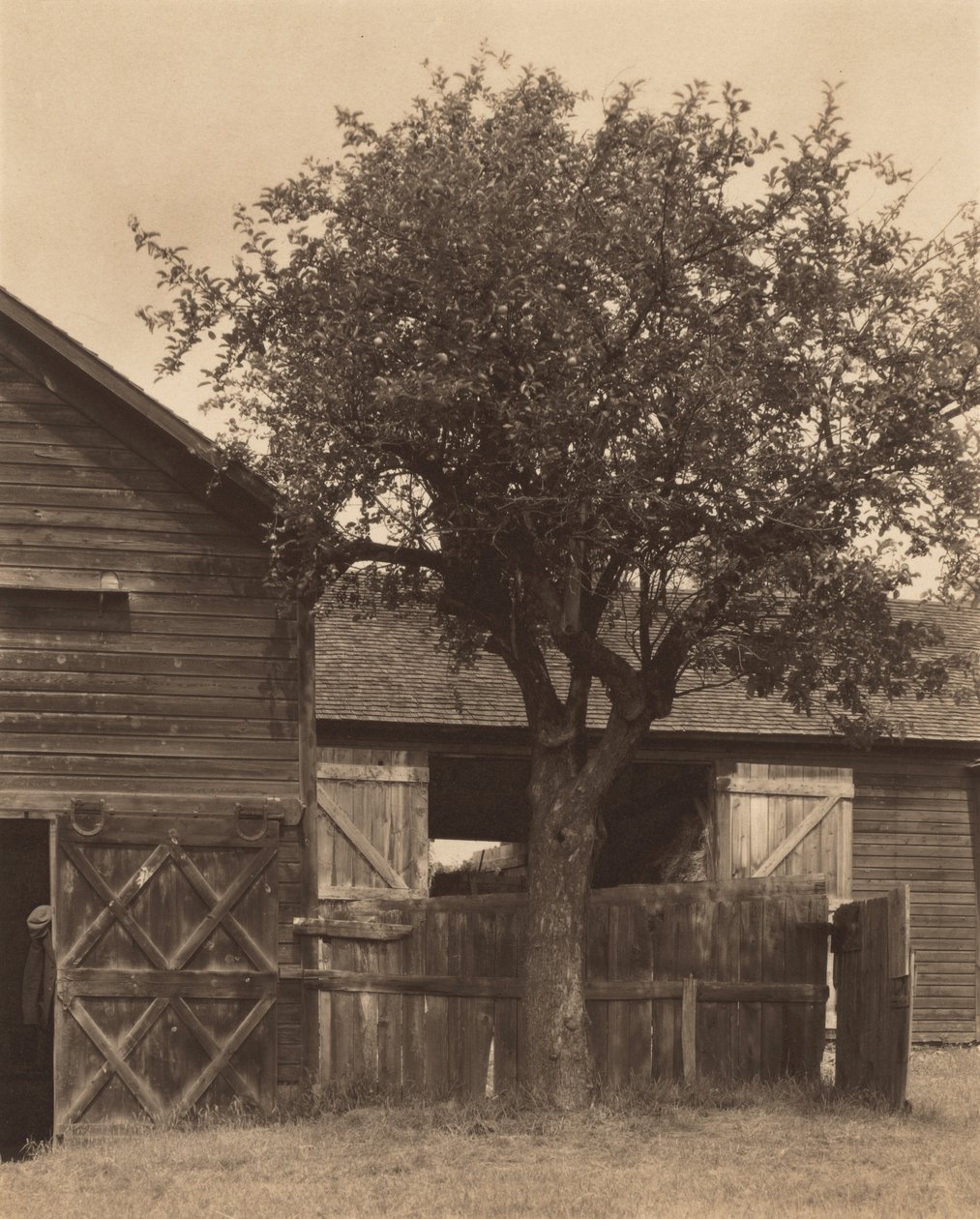 La grange - Alfred Stieglitz