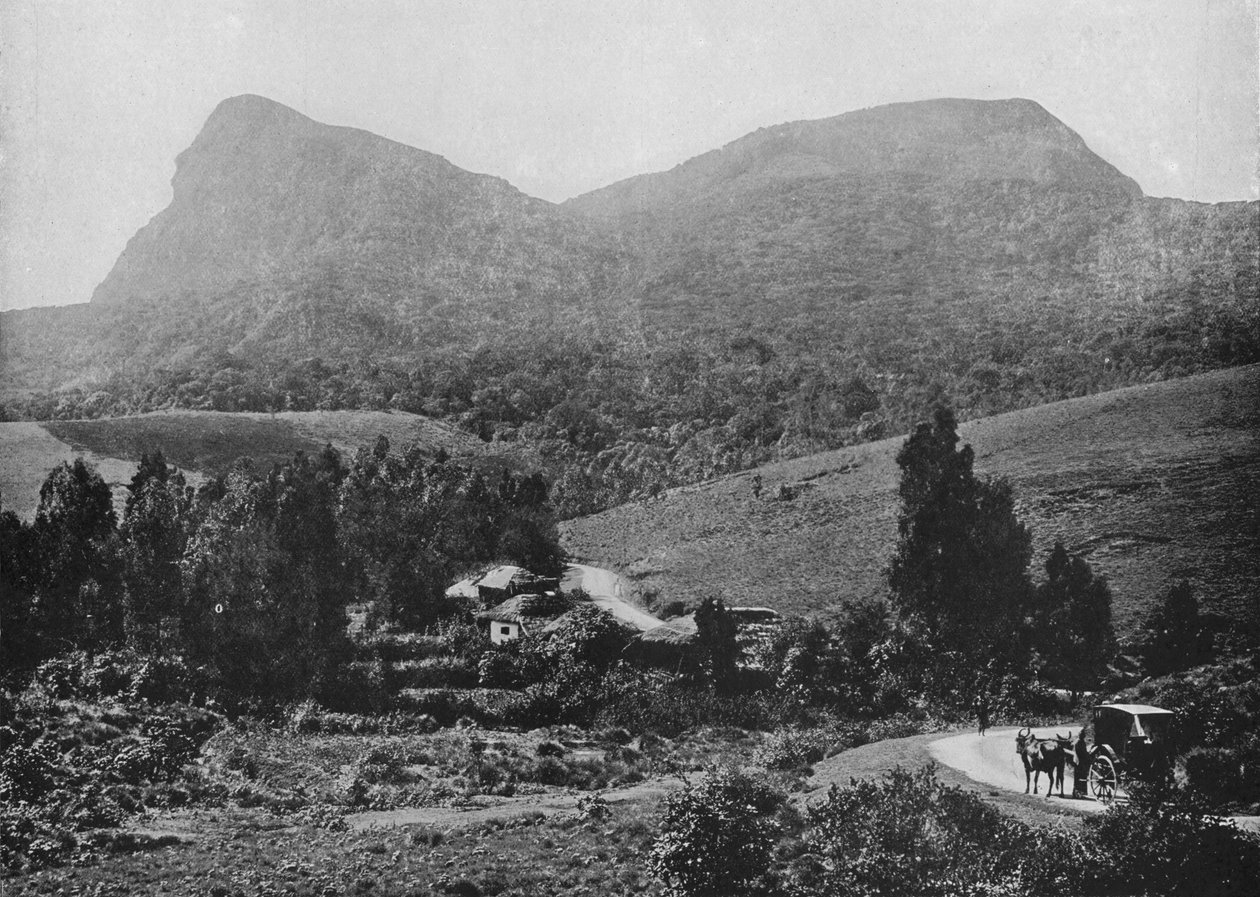 Sur la route de Hakgalla. Rocher de Hakgalla au loin, vers 1890, 1910 - Alfred William Amandus Plate