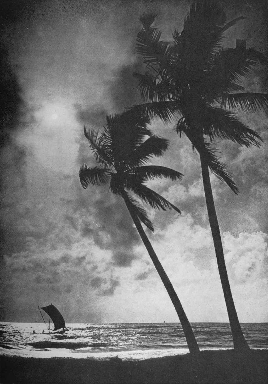 Le rivage bordé de palmiers au coucher du soleil, vers 1890, 1910 - Alfred William Amandus Plate