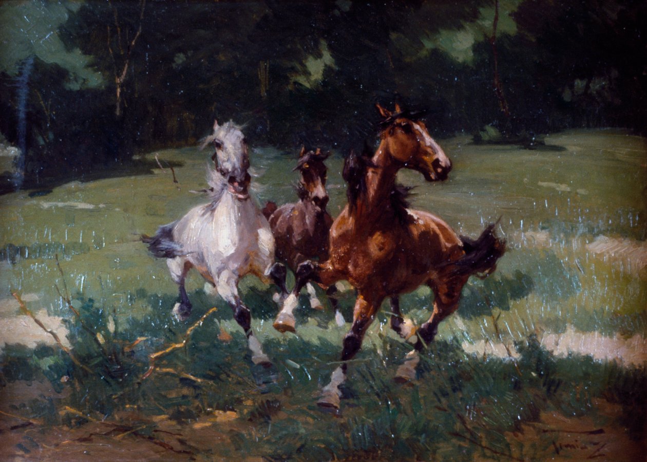 Chevaux au galop - Alfredo Tominz