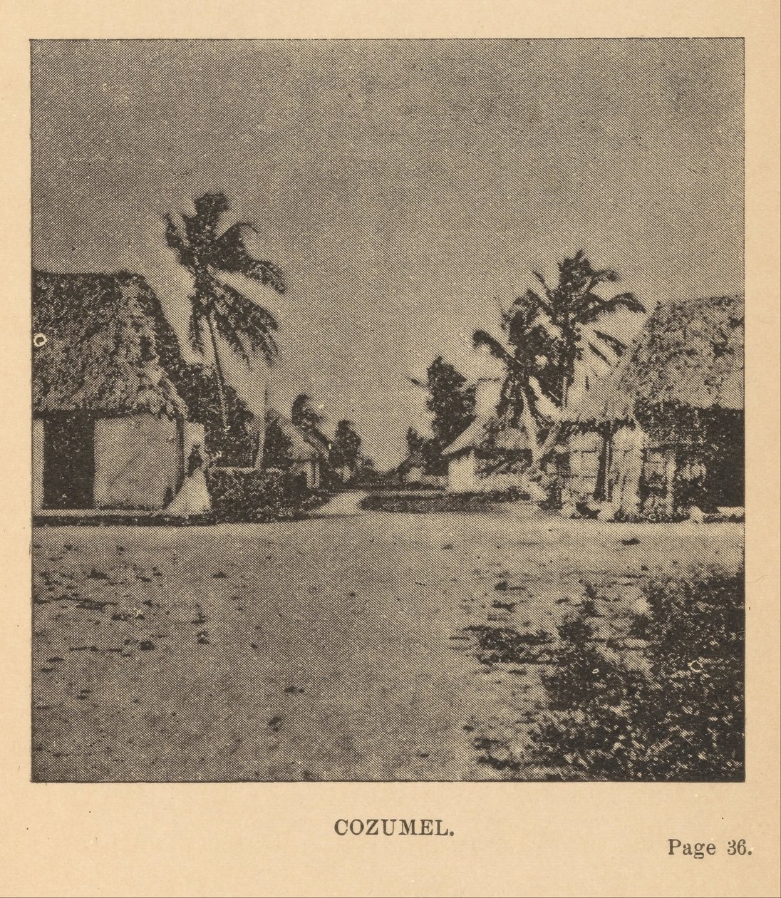 Cozumel - Alice Dixon Le Plongeon