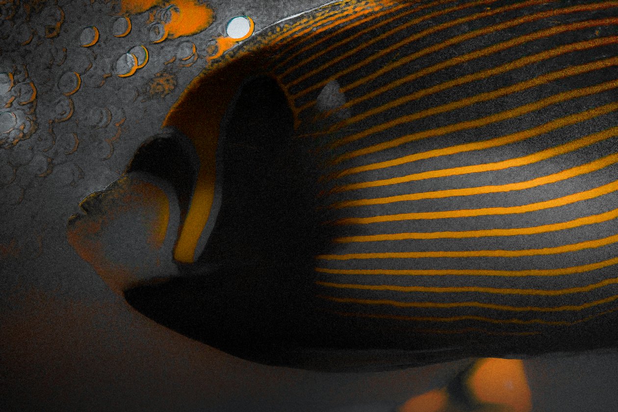 Bubbles and Stripes, 2018 (photographie repeinte à la main) - Alice Gur Arie