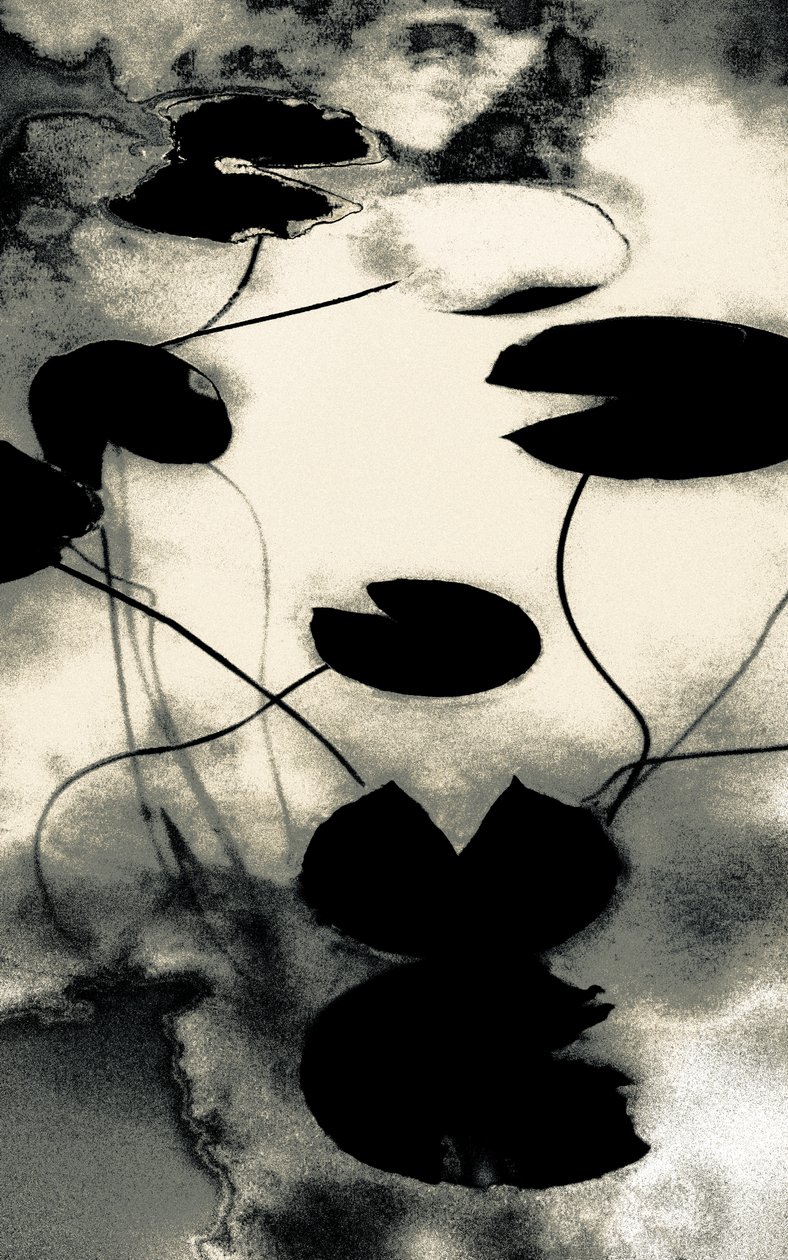 Gold Dust Shadows, de la série Spring, 2020 (photographie repeinte à la main) - Alice Gur Arie