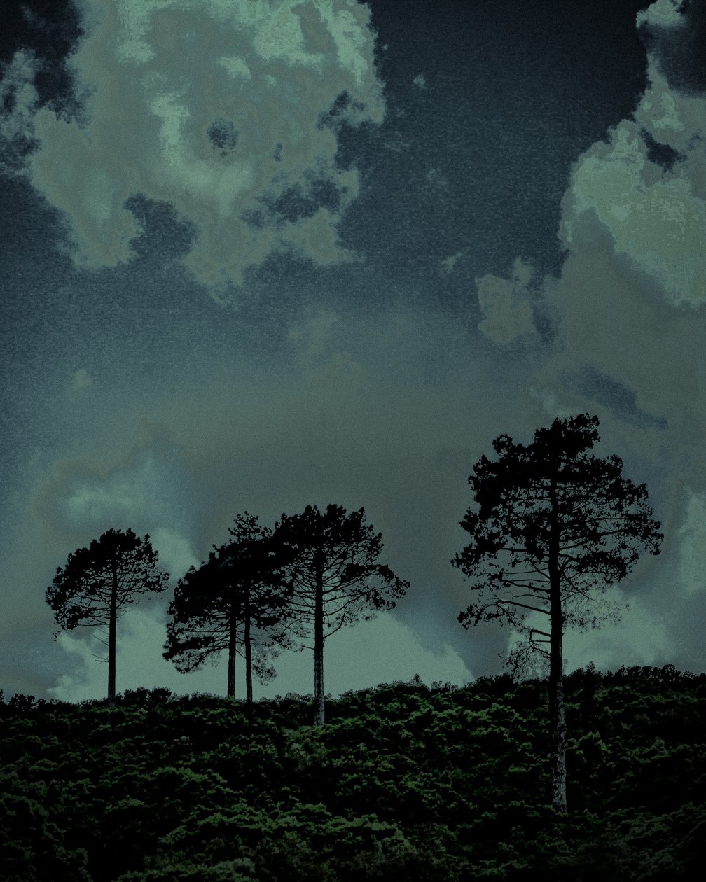 Last Light, 2018 (photographie peinte à la main) - Alice Gur-Arie