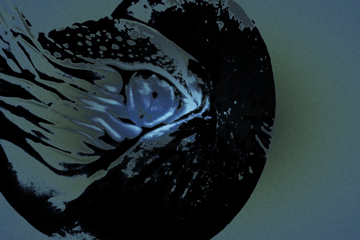 Nautilus, 2018 (photographie peinte à la main) - Alice Gur Arie