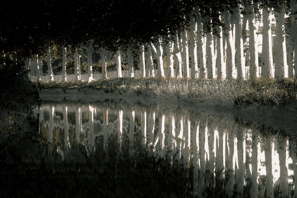 Rendu, 2018 (photographie repeinte à la main) - Alice Gur-Arie