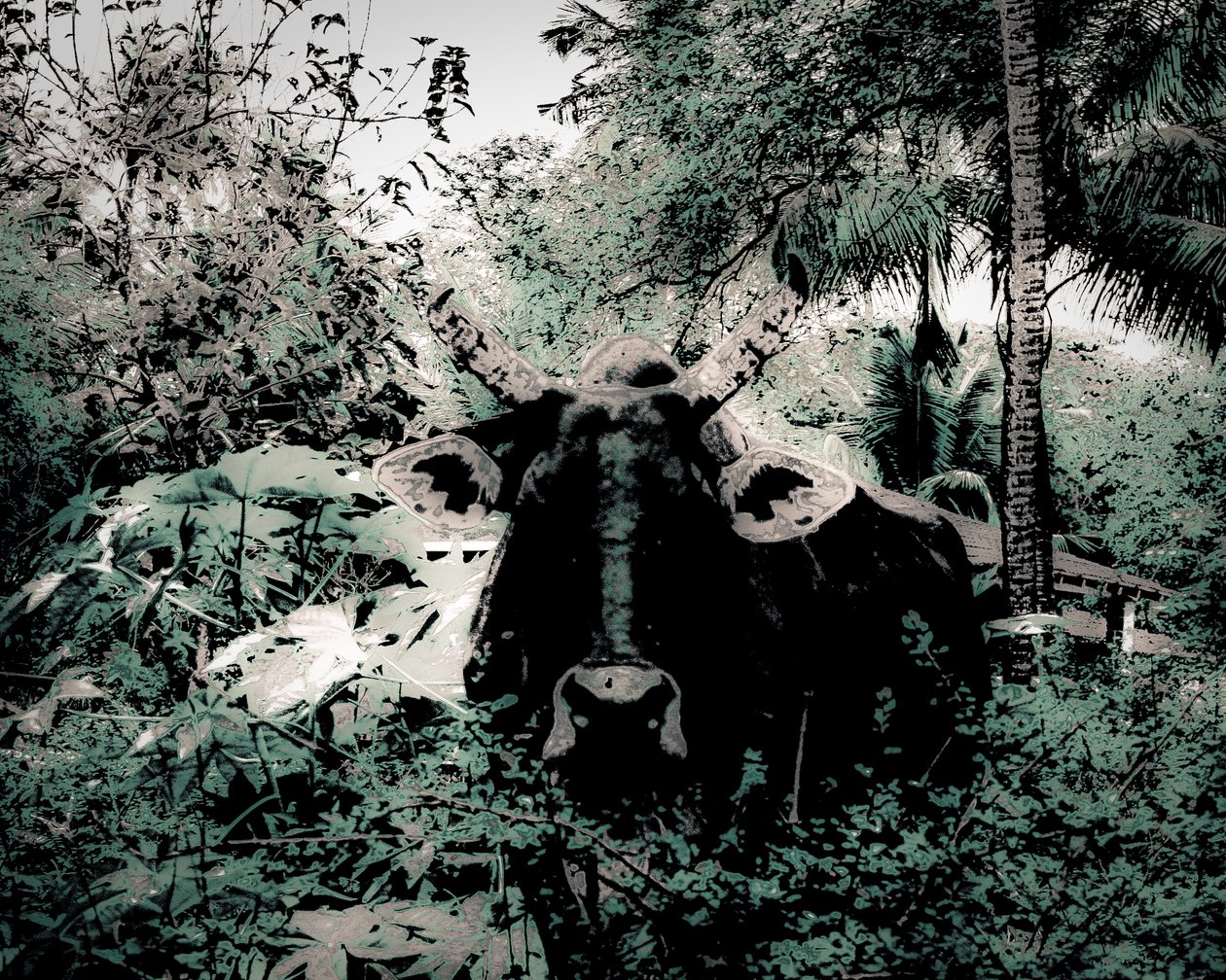 The Lodge Near Periyar, 2020 (photographie peinte) - Alice Gur-Arie