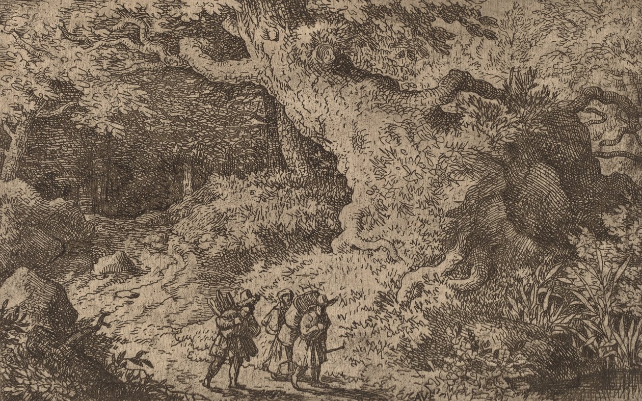 Une forêt dense - Allart van Everdingen