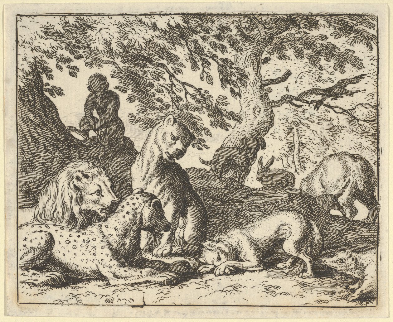 Renard accuse faussement son père de conspirer contre le lion, 1650-75 - Allart van Everdingen