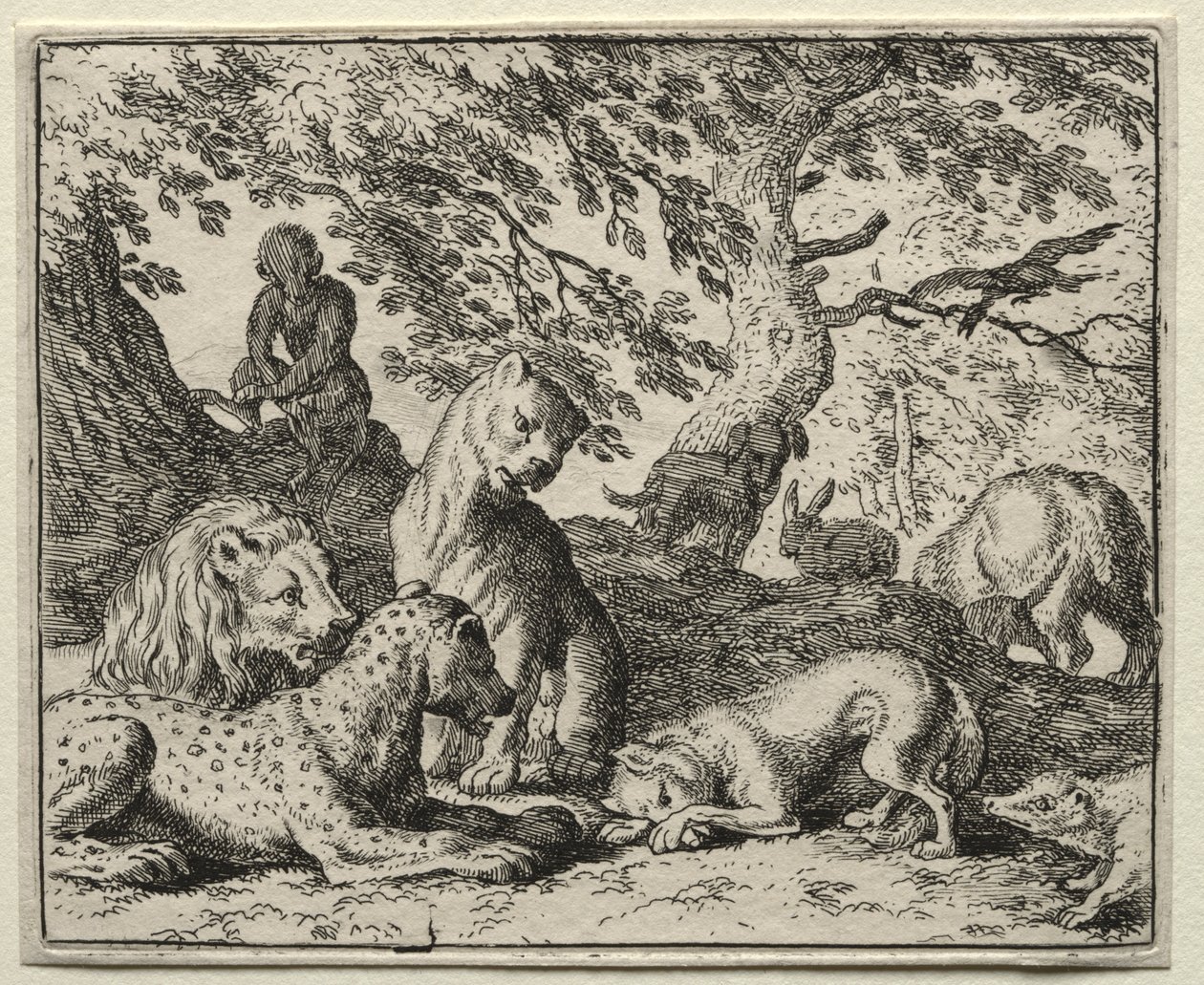Renart le goupil : Renart décrit un faux complot contre le lion - Allart van Everdingen