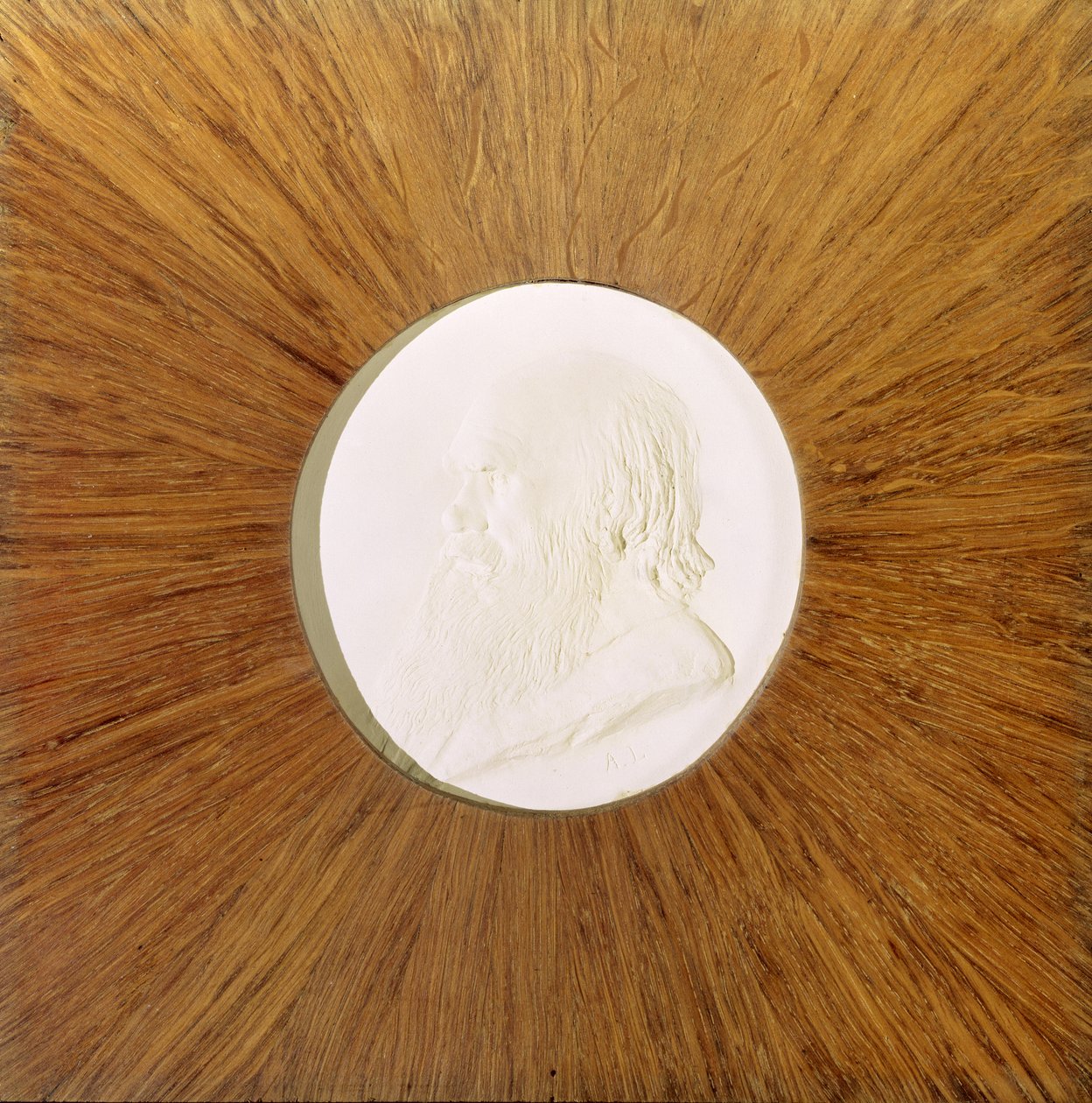 Charles Darwin (1809-82) vers 1881 - Alphonse Legros