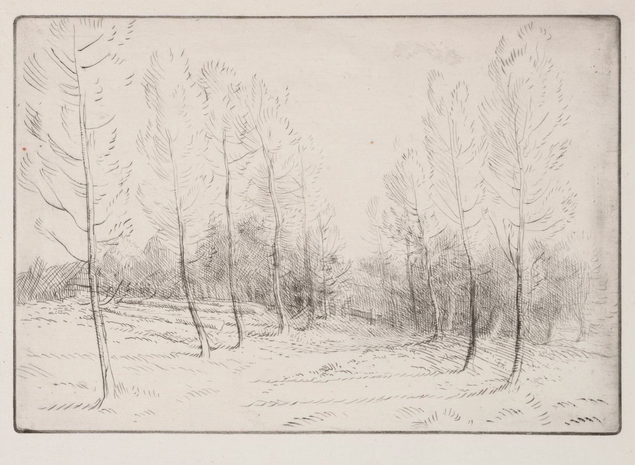 Avenue de peupliers - Alphonse Legros