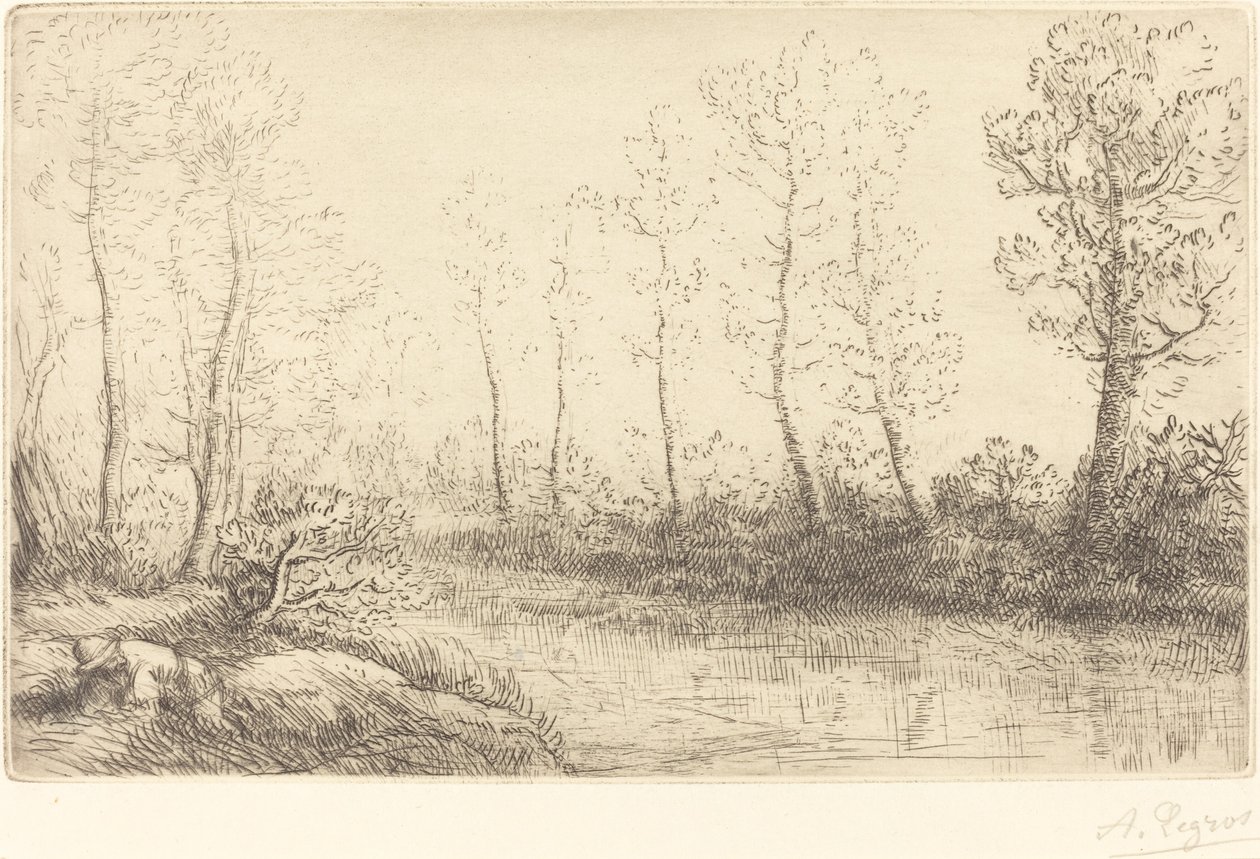 Les Bouleaux: Bord de l