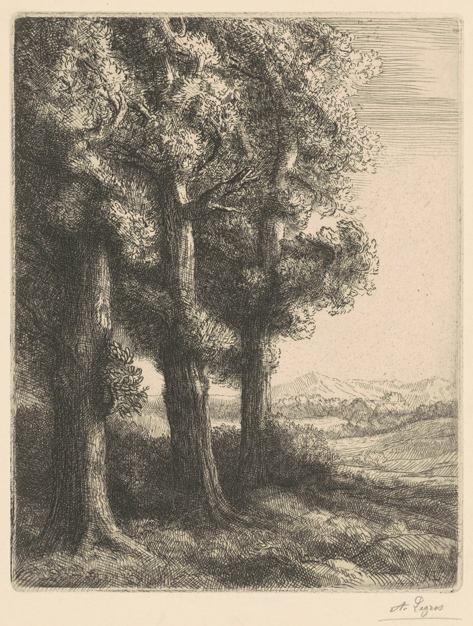 Corner of a Wood (Coin d