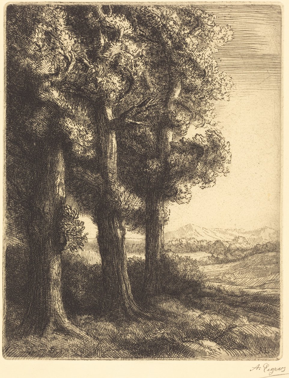 Corner of a Wood (Coin d
