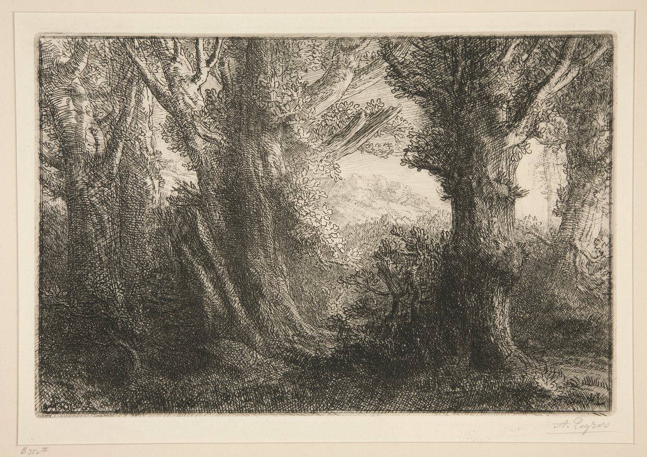 Dans la forêt de Conteville - Alphonse Legros