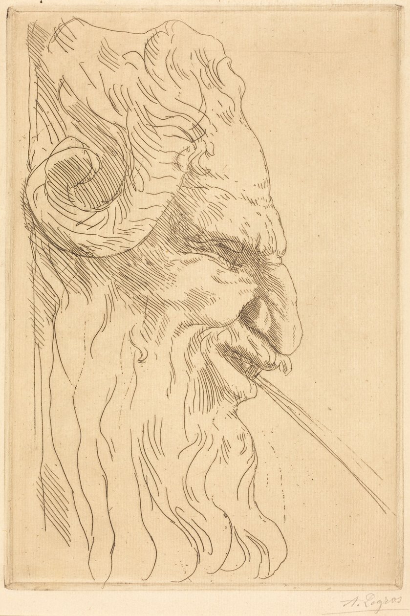 Tête de satyre - Alphonse Legros