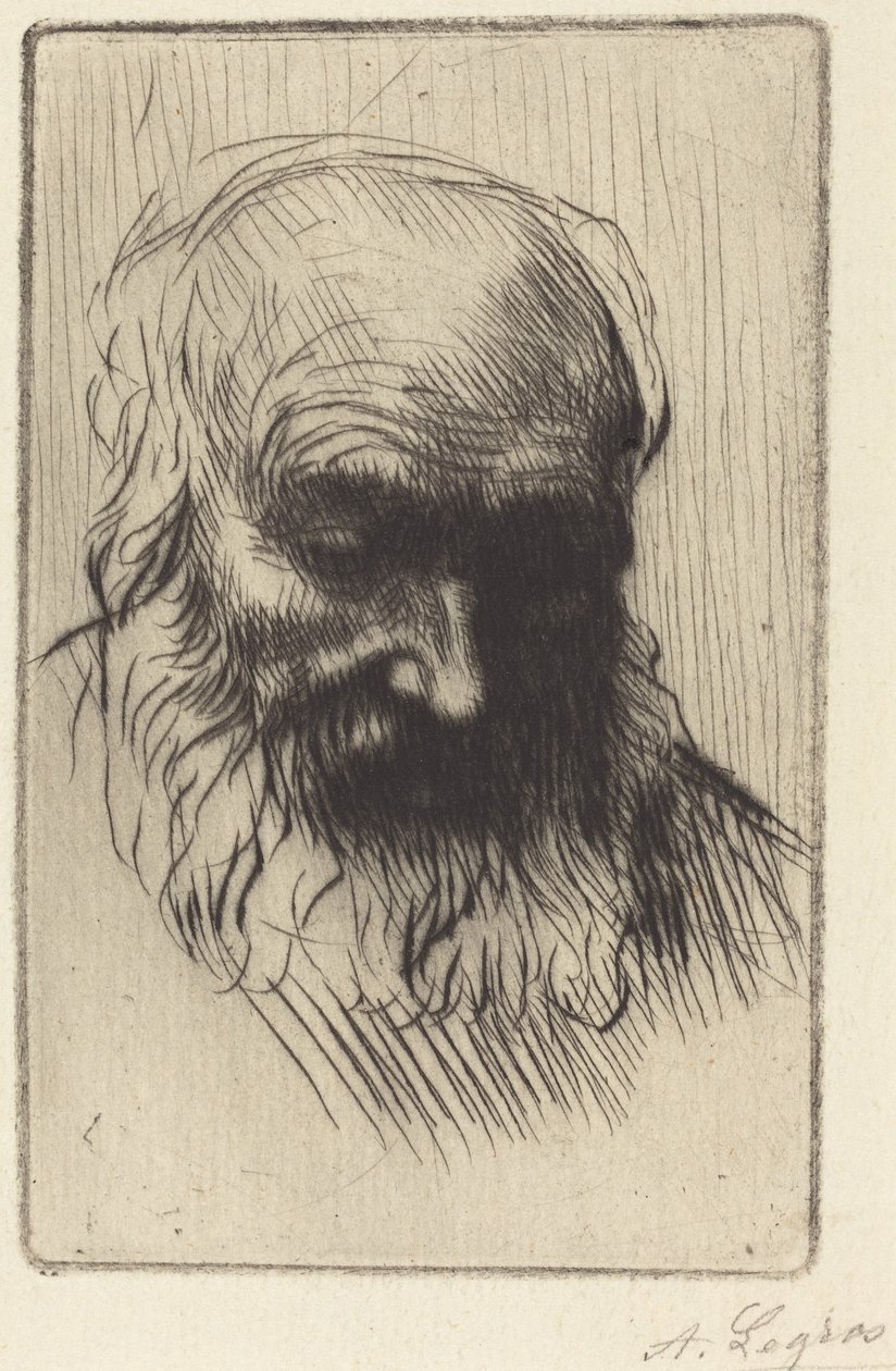 Tête de vieil homme (Étude de tête) - Alphonse Legros