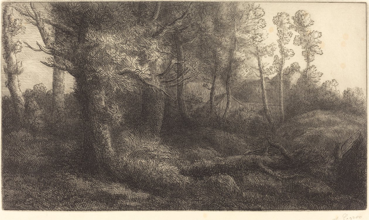 Dans la forêt (Lisière de forêt) - Alphonse Legros