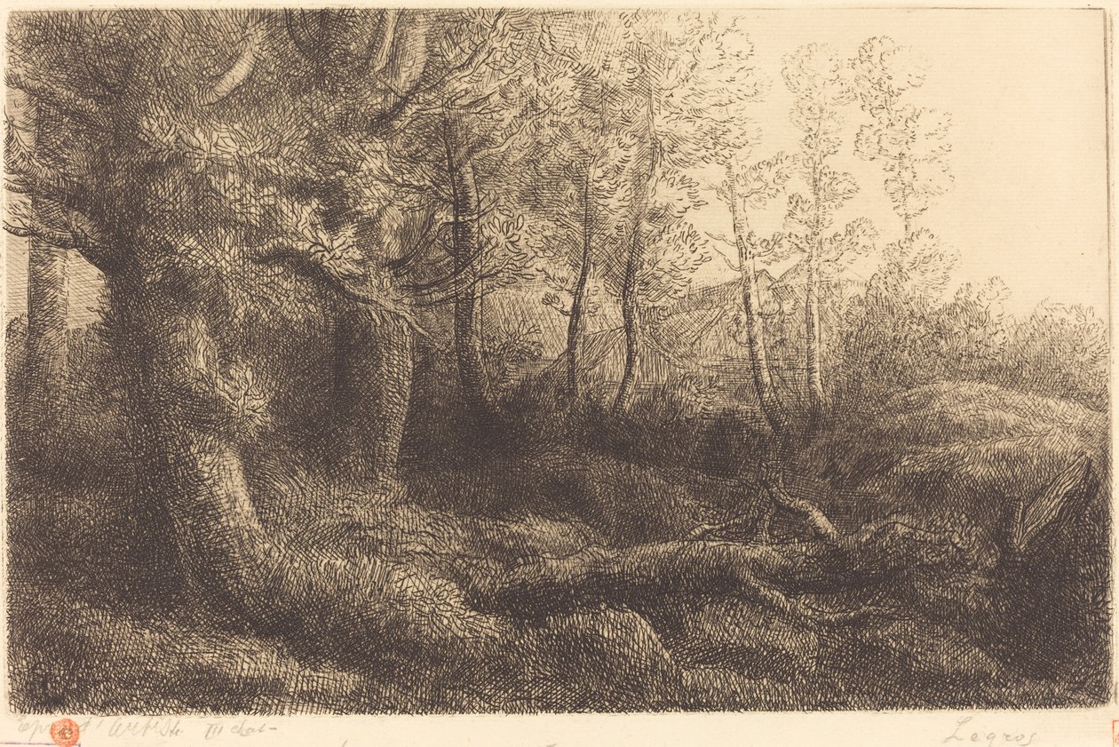 En forêt (Lisière de forêt) - Alphonse Legros