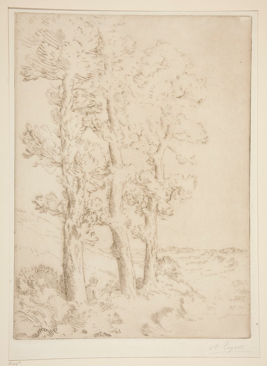 La liseuse : La lecture sous les arbres - Alphonse Legros