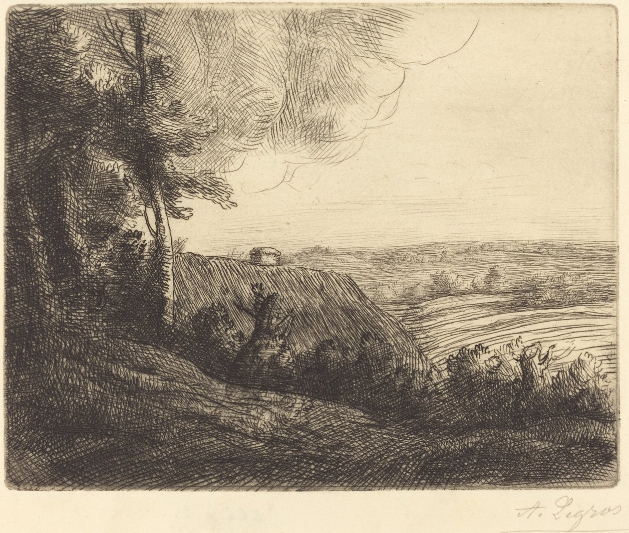 Paysage: Chemin d