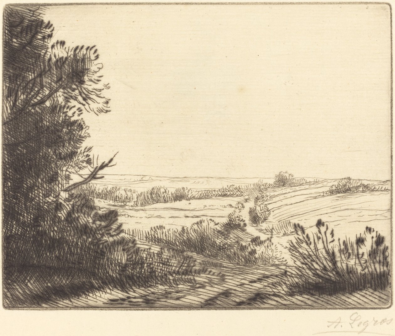 Paysage: Chemin d