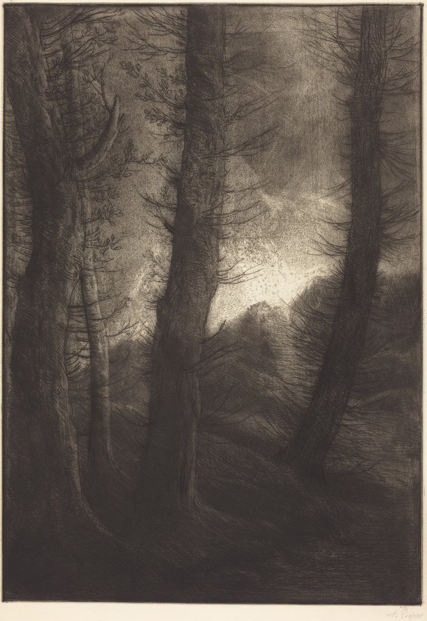 Large Trees Seen against the Sun  (Les grandes arbres: Effet du soir) - Alphonse Legros