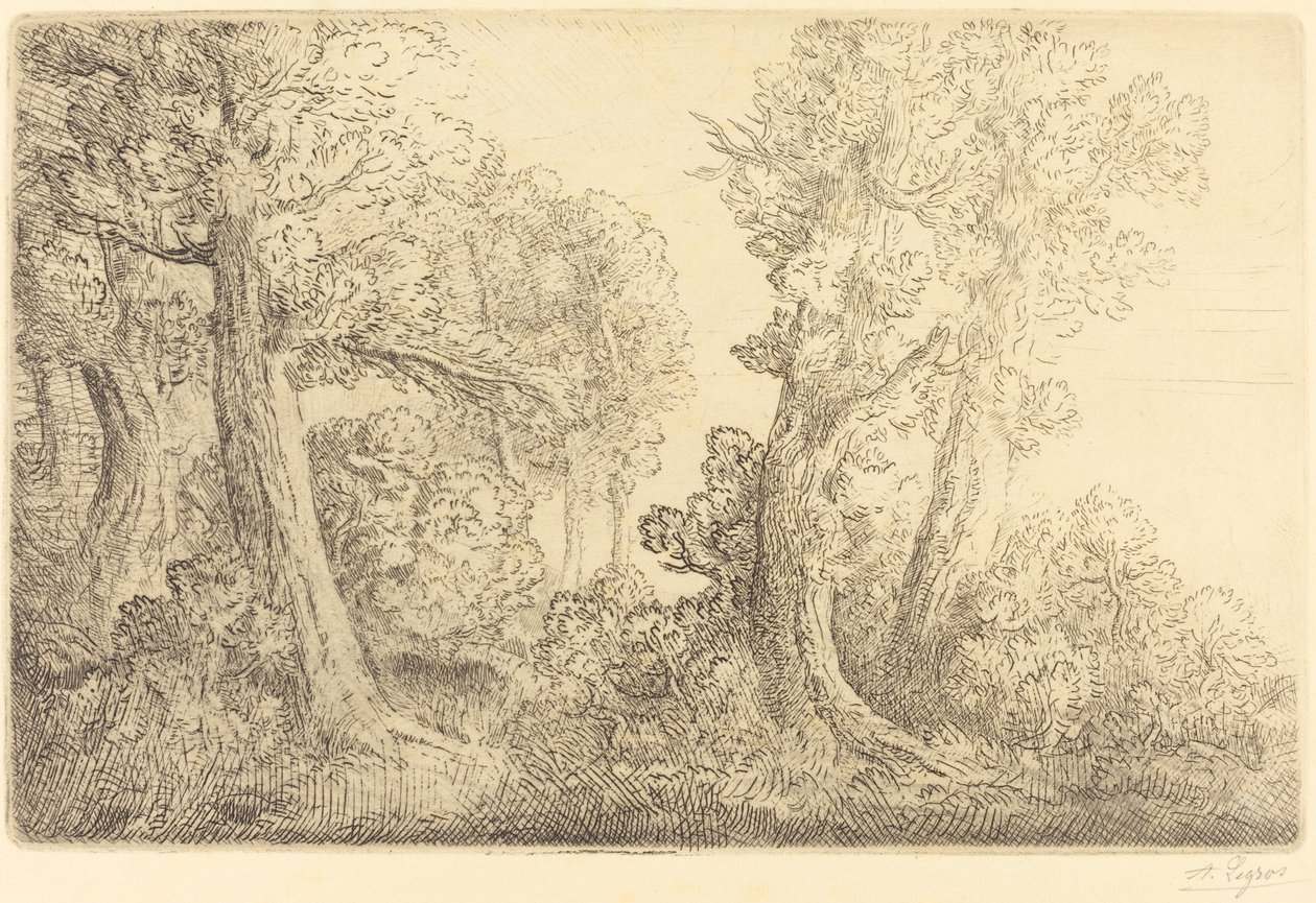 Près du bois, Véronne - Alphonse Legros